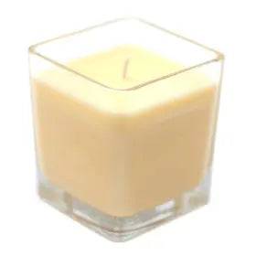Vela de cera de Soja Peixes - Charmy Gift Store